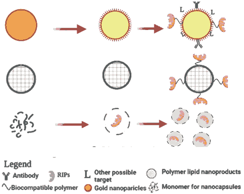 annals-health-monoclonal