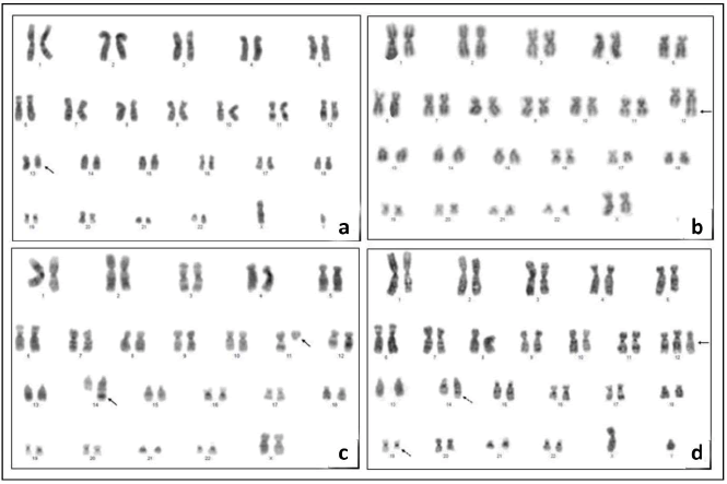 annals-medical-chromosomal