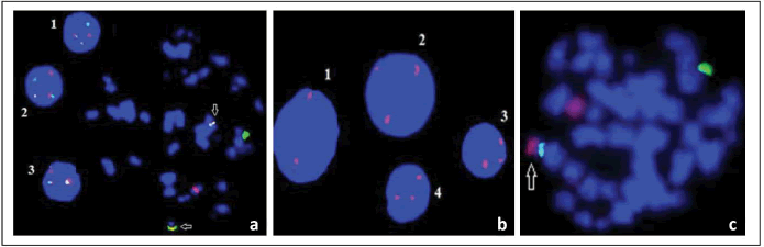 annals-medical-chromosomal