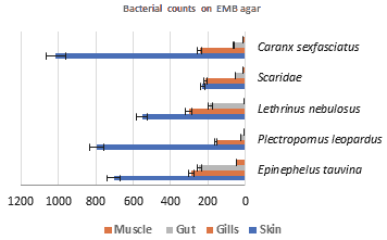 annals-medical-counts