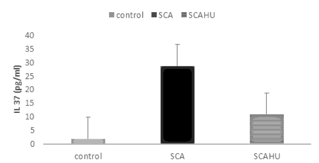 annals-medical-levels