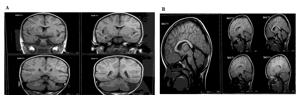 annals-medical-posterior