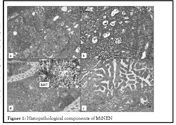 histopathol-components