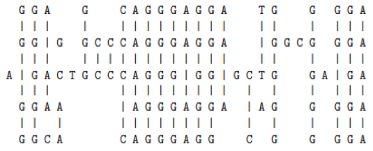 applied-mathematics-DNA