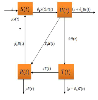 applied-mathematics-drinking