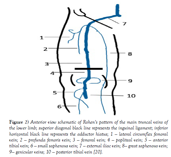 international-journal-anatomical-variations-Anterior