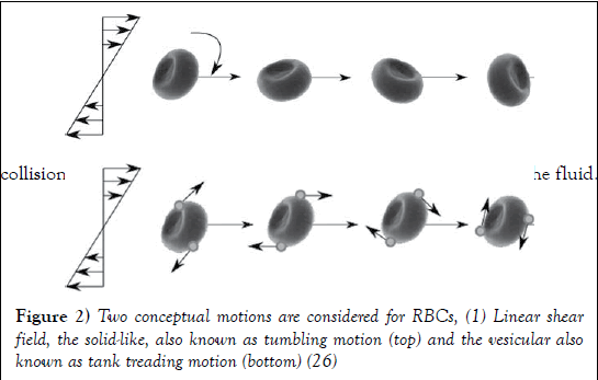 biomedical-engineering-treading-motion