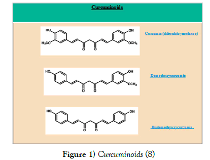 cancer-metastasis-research-Curcuminoids
