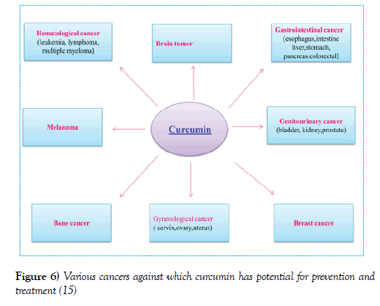 cancer-metastasis-research-curcumin-potential