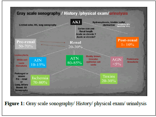 clinical-nephrology-sonography-History