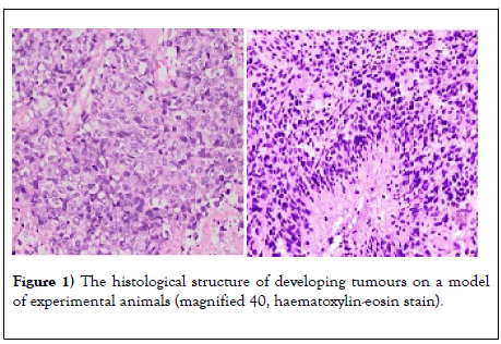 clinical-pharmacology-toxicology-histological