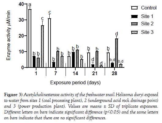 environmental-chemistry-toxicology-helisoma-duryi