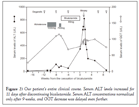 hepatogastroenterology-clinical