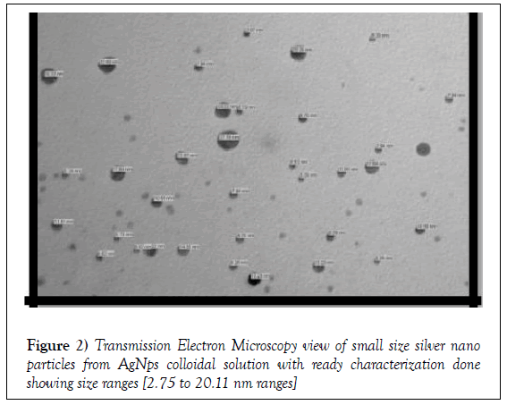 histology-histopathology-research-transmission-electron-microscopy