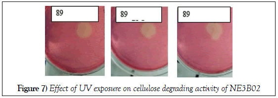 microbiology-biotechnology-reports-cellulose-degrading