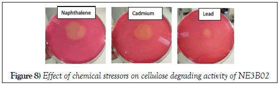 microbiology-biotechnology-reports-chemical-stressors-cellulose