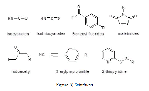 pharmacology-medicinal-chemistry-substitutes