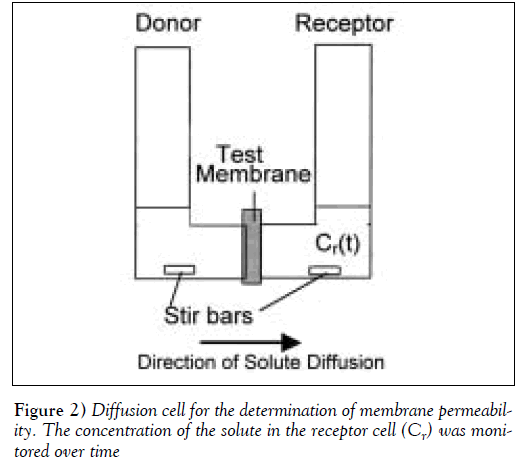 sexual-reproductive-medicine-membrane-permeability