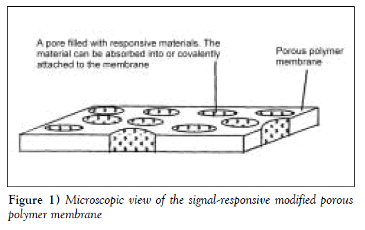 sexual-reproductive-medicine-signal-responsive-modified