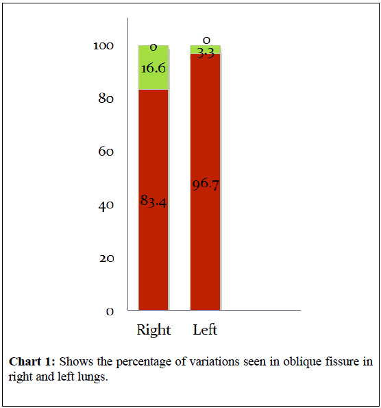 surgical-research-left-lungs